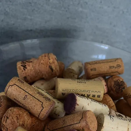 Bed & Breakfast Levanta *