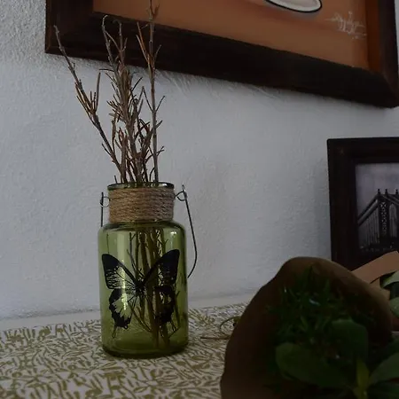 Bed & Breakfast Levanta Péry