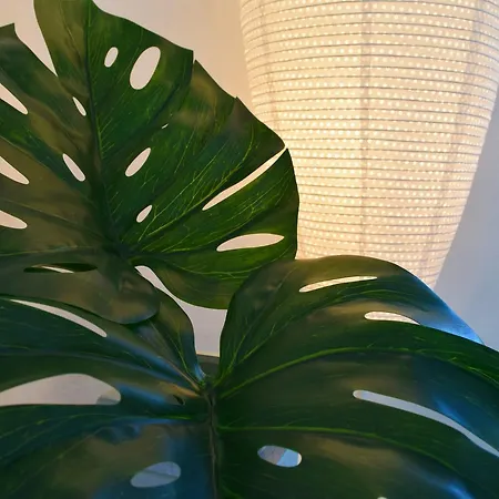 Bed & Breakfast Levanta Péry